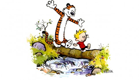 Calvan & Hobbes